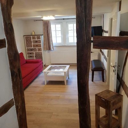 Zauberhafte Wohnung In Der Naehe Von Heidelberg, Top Lage Hirschhorn Eksteriør billede