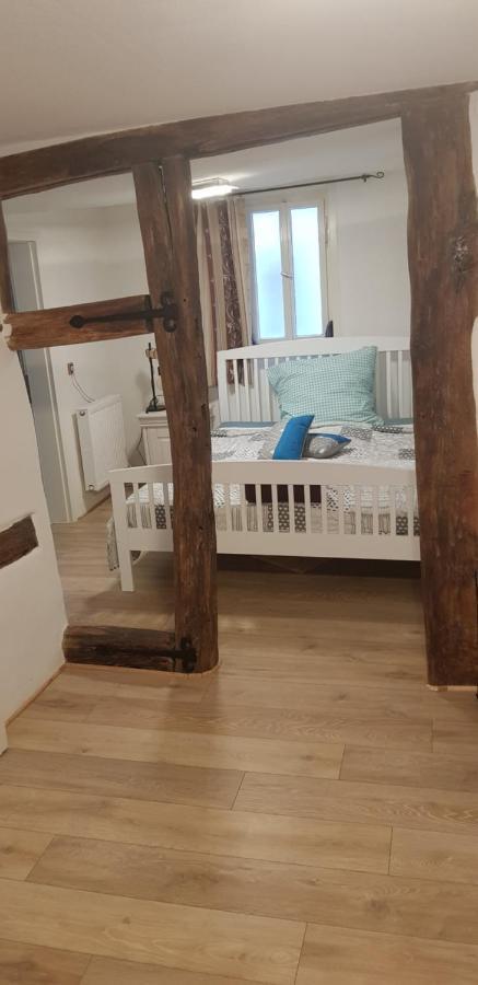 Zauberhafte Wohnung In Der Naehe Von Heidelberg, Top Lage Hirschhorn Eksteriør billede