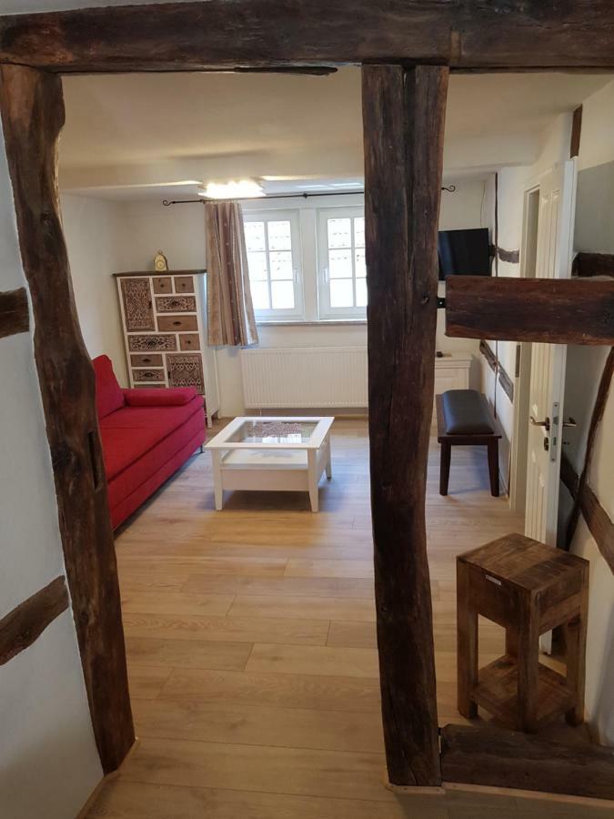 Zauberhafte Wohnung In Der Naehe Von Heidelberg, Top Lage Hirschhorn Eksteriør billede