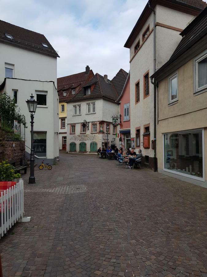 Zauberhafte Wohnung In Der Naehe Von Heidelberg, Top Lage Hirschhorn Eksteriør billede