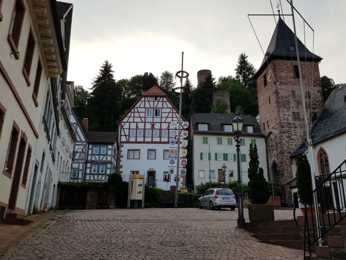 Zauberhafte Wohnung In Der Naehe Von Heidelberg, Top Lage Hirschhorn Eksteriør billede