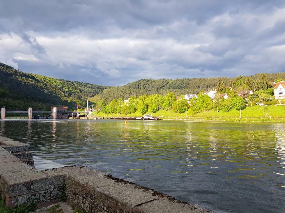 Zauberhafte Wohnung In Der Naehe Von Heidelberg, Top Lage Hirschhorn Eksteriør billede