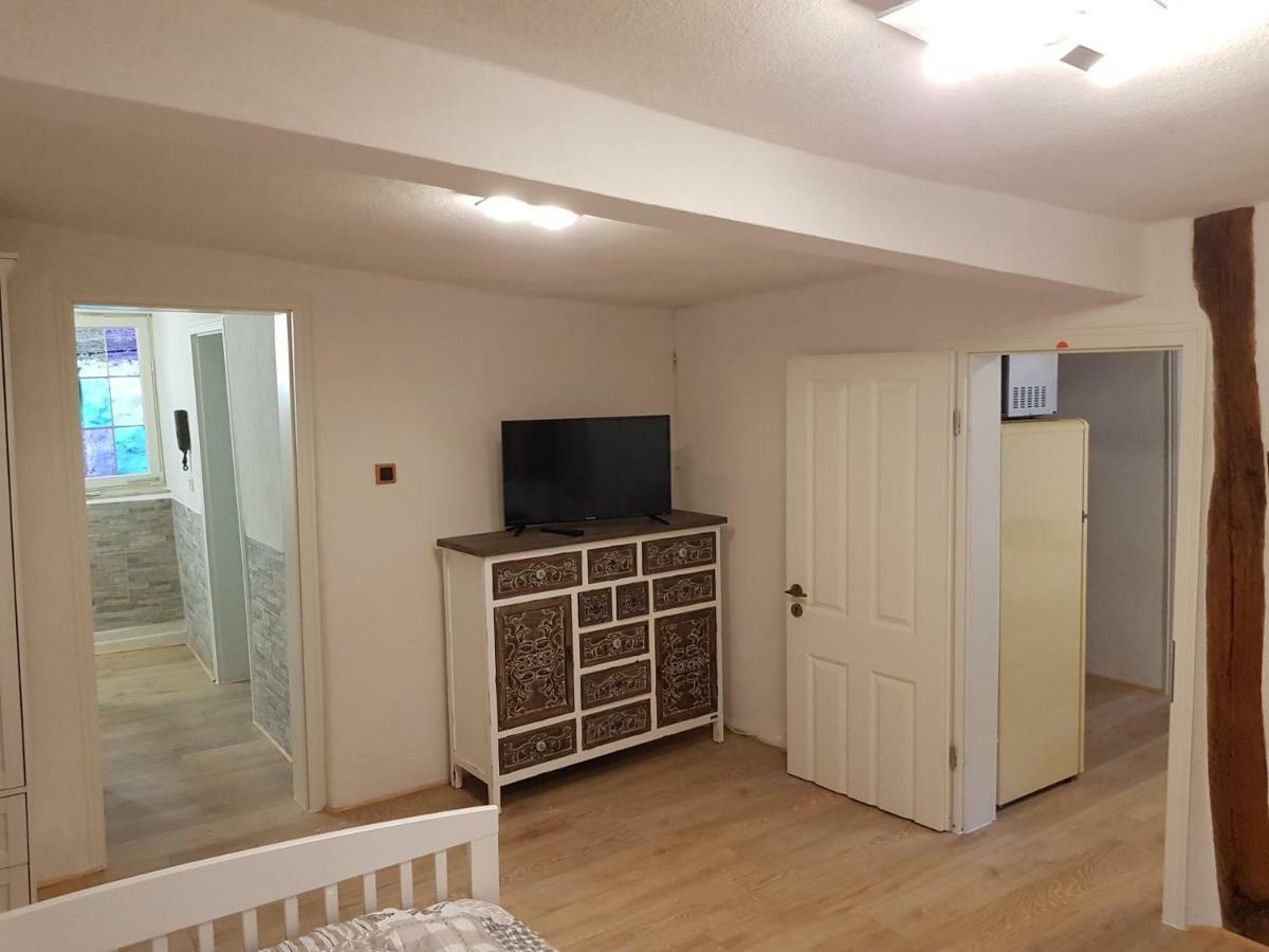 Zauberhafte Wohnung In Der Naehe Von Heidelberg, Top Lage Hirschhorn Eksteriør billede