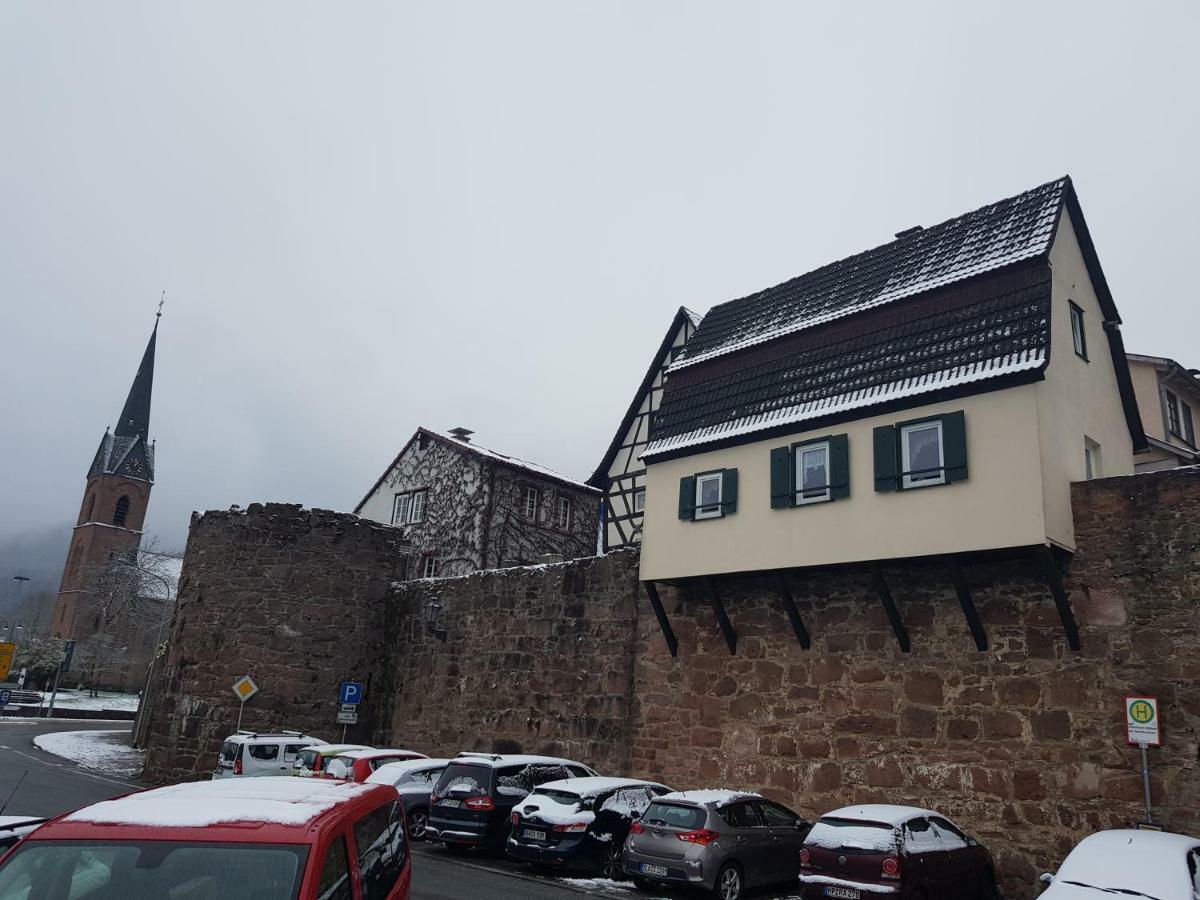 Zauberhafte Wohnung In Der Naehe Von Heidelberg, Top Lage Hirschhorn Eksteriør billede