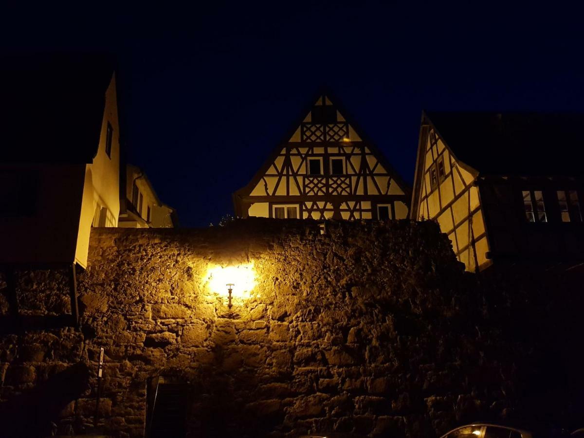 Zauberhafte Wohnung In Der Naehe Von Heidelberg, Top Lage Hirschhorn Eksteriør billede
