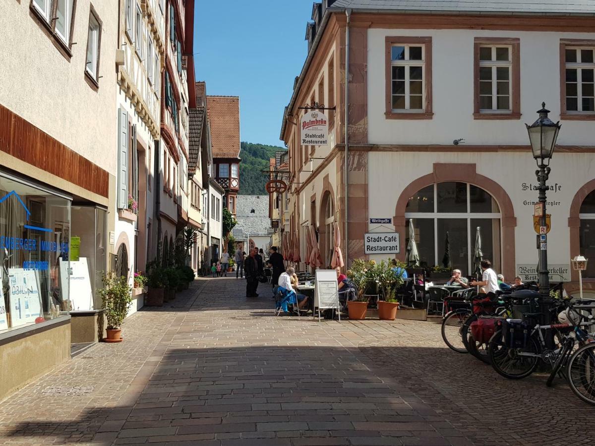 Zauberhafte Wohnung In Der Naehe Von Heidelberg, Top Lage Hirschhorn Eksteriør billede
