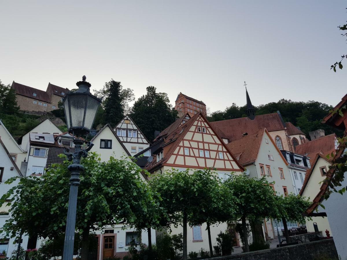 Zauberhafte Wohnung In Der Naehe Von Heidelberg, Top Lage Hirschhorn Eksteriør billede