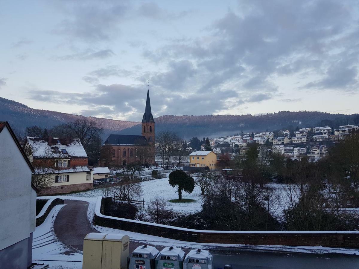Zauberhafte Wohnung In Der Naehe Von Heidelberg, Top Lage Hirschhorn Eksteriør billede