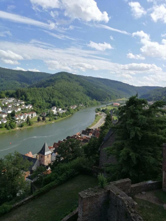 Zauberhafte Wohnung In Der Naehe Von Heidelberg, Top Lage Hirschhorn Eksteriør billede