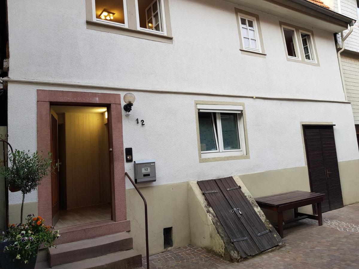 Zauberhafte Wohnung In Der Naehe Von Heidelberg, Top Lage Hirschhorn Eksteriør billede