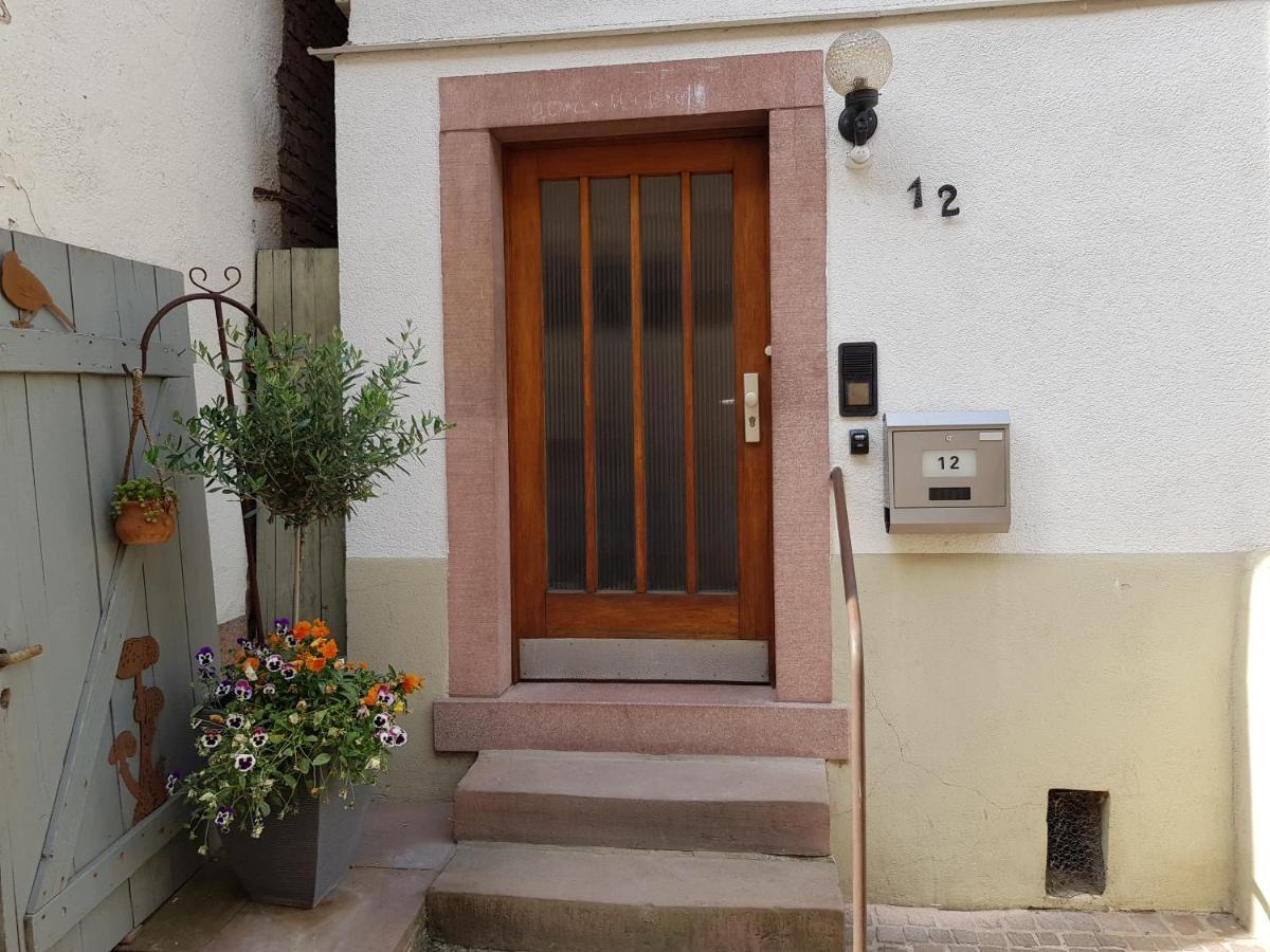 Zauberhafte Wohnung In Der Naehe Von Heidelberg, Top Lage Hirschhorn Eksteriør billede