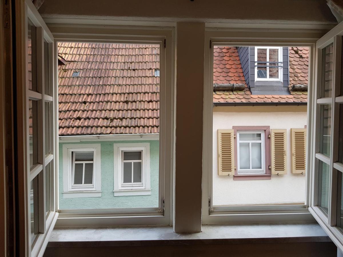 Zauberhafte Wohnung In Der Naehe Von Heidelberg, Top Lage Hirschhorn Eksteriør billede